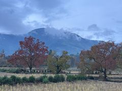 -塔川景区