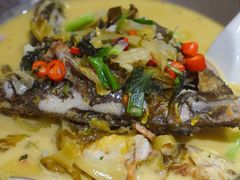 酸汤黄骨鱼-小辣椒(华富店)