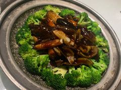 葱烧海参-老德州四合院·德州菜(天衢路店)