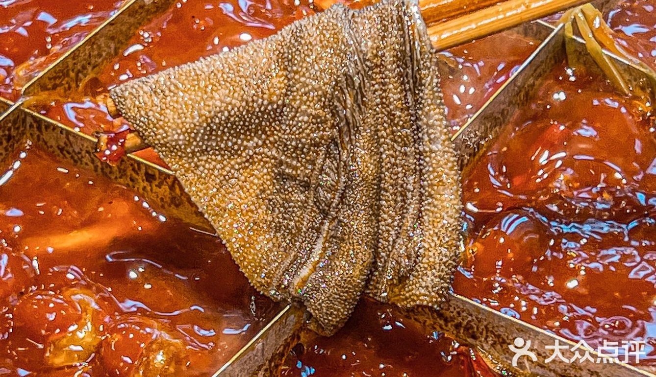 终于吃上了❇️好吃到破防的🦑鱿鱼 