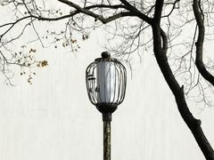 -老门东历史文化街区