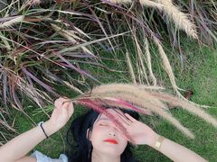 -白石龙音乐公园