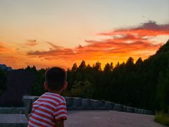 -府君山公园