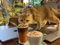 -咖法森林·咖啡  酒吧(天河店)