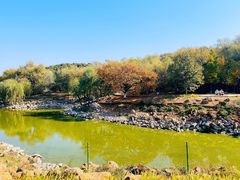 -北京张裕爱斐堡酒庄