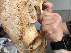 -牛头馆(凤南路店)