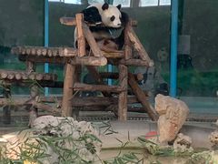 -天津市动物园