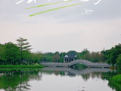 -映月湖公园