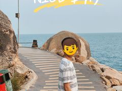 -广东惠东海龟国家级自然保护区