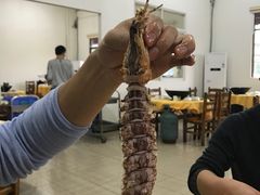-蚝专家(北滘店)