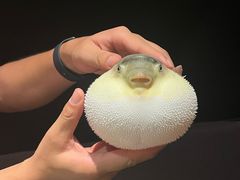 -永安鱼庄·镇江菜(东吴路店)