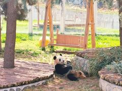 -西安秦岭野生动物园