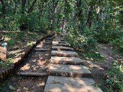 -沈阳辉山风景区
