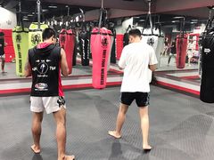 -TFC 纯泰拳馆MuayThai