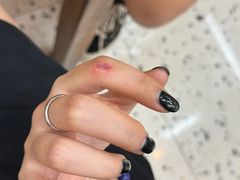 -吉丁鸟咖·异宠·寄养