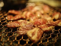 -农乐园炭火烤肉(世茂店)