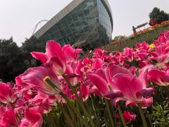 -石家庄市植物园