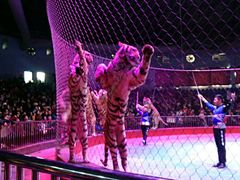 -西安秦岭野生动物园