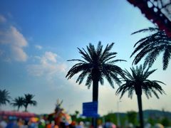 上海玛雅水公园-上海玛雅海滩水公园