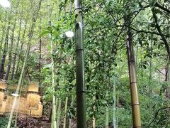 -故乡缘·香格里拉山庄(冷竹路店)