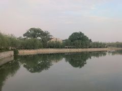 android_upload_pic-八大山人梅湖景区