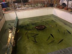 -钰田大院·碳烤虹鳟鱼·怀柔地道农家菜(雁栖湖店)