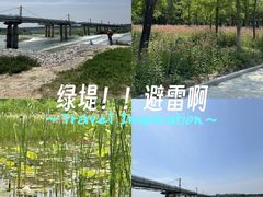 -绿堤公园