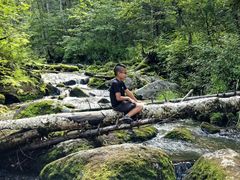 -汤旺河林海奇石景区