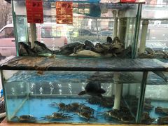 水产区-金沙滩海鲜餐厅(梅江龙水园店)