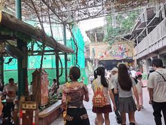 -长鹿旅游休博园