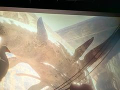 -星恒影城