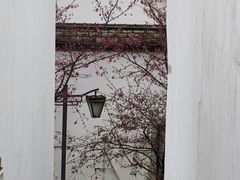 -乌山风景区