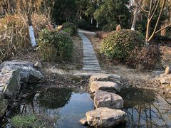 -树山生态村