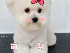 -北京恒爱动物医院(清景园分院)