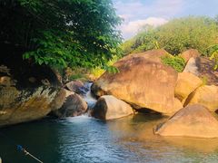 -广州市流溪河国家森林公园