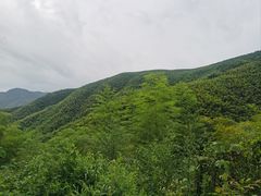 -莫干山风景区