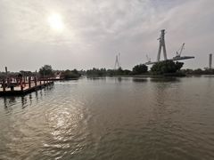 -芒洲湿地公园