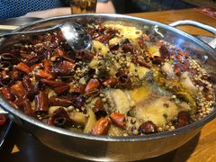 水煮鲶鱼-望京一号·重庆江湖菜(工体店)