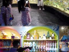 -多彩贵州城极地海洋世界