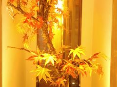 -小天鹅火锅·一线江景洪鼎旗舰店(洪崖洞店)