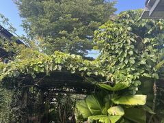 -Ohkajhu Organic Farm Sansai