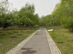 -莫子山公园
