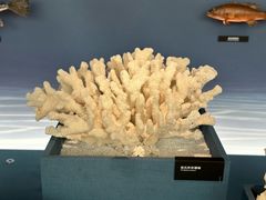 -中国湿地博物馆
