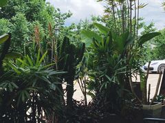 -酤居湖景音乐餐吧(安宁店)