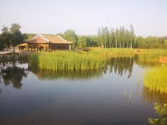 -张家湾公园