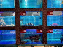 -潮州府·潮菜·砂锅粥(徐家汇店)