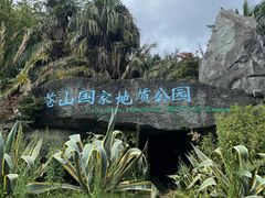-苍山感通索道