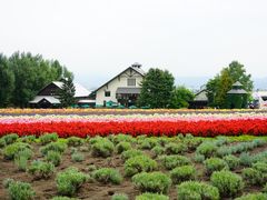 -富田农场