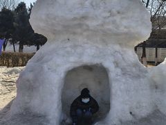 -沈阳奥体冰雪嘉年华