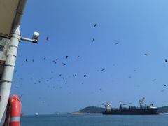 -海驴岛(荣成市)